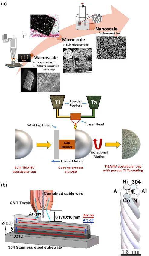 增材制造在合金设计及钢结构制造中的优势、挑战、应用与前景